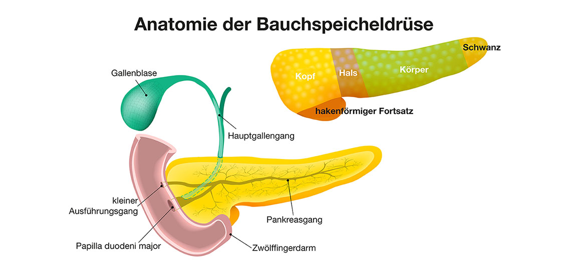 Grundlagen